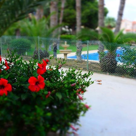 Palmeras, Piscina, Campo De Futbol Y Jardin Privados มาซาร์รอน ภายนอก รูปภาพ