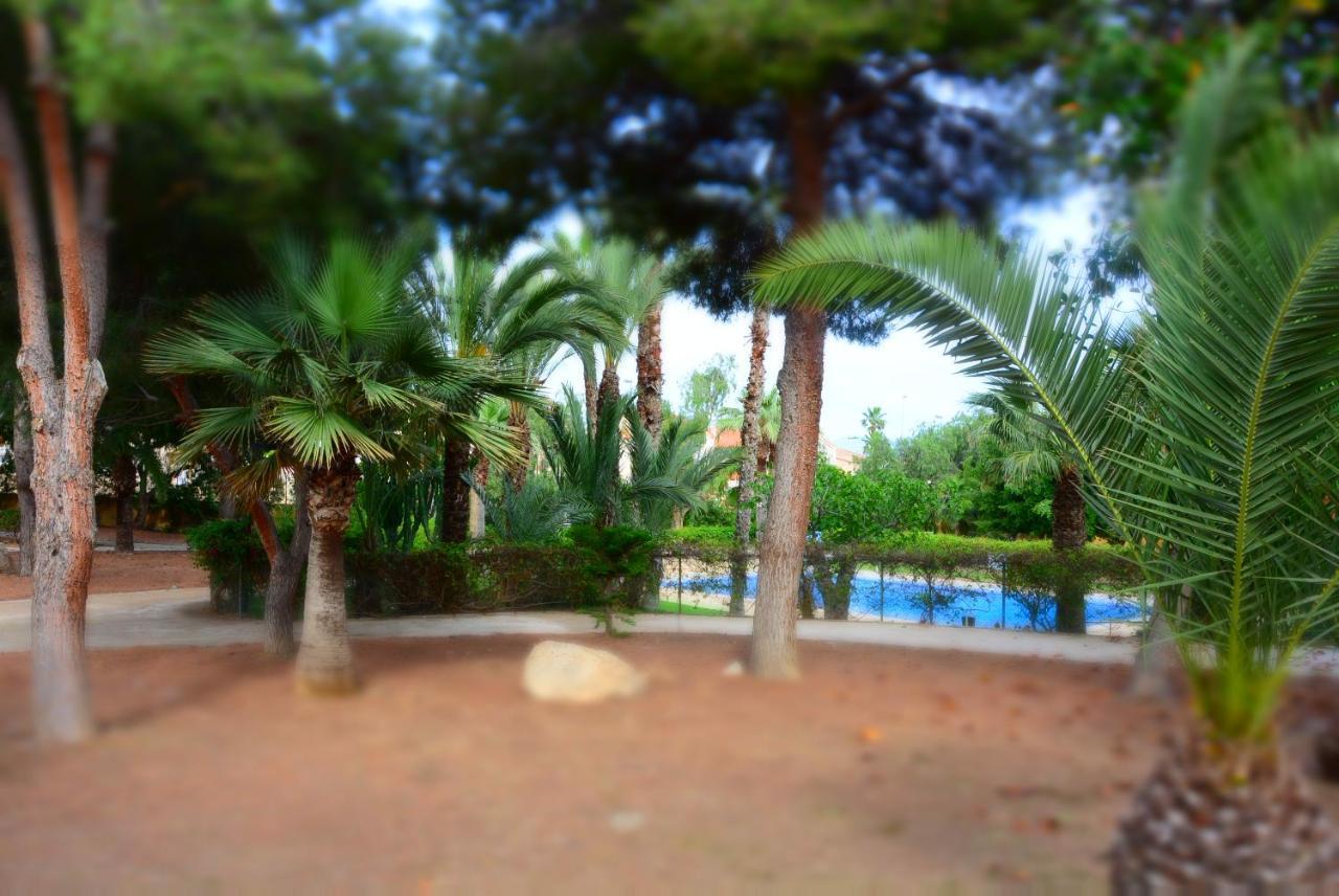 Palmeras, Piscina, Campo De Futbol Y Jardin Privados มาซาร์รอน ภายนอก รูปภาพ