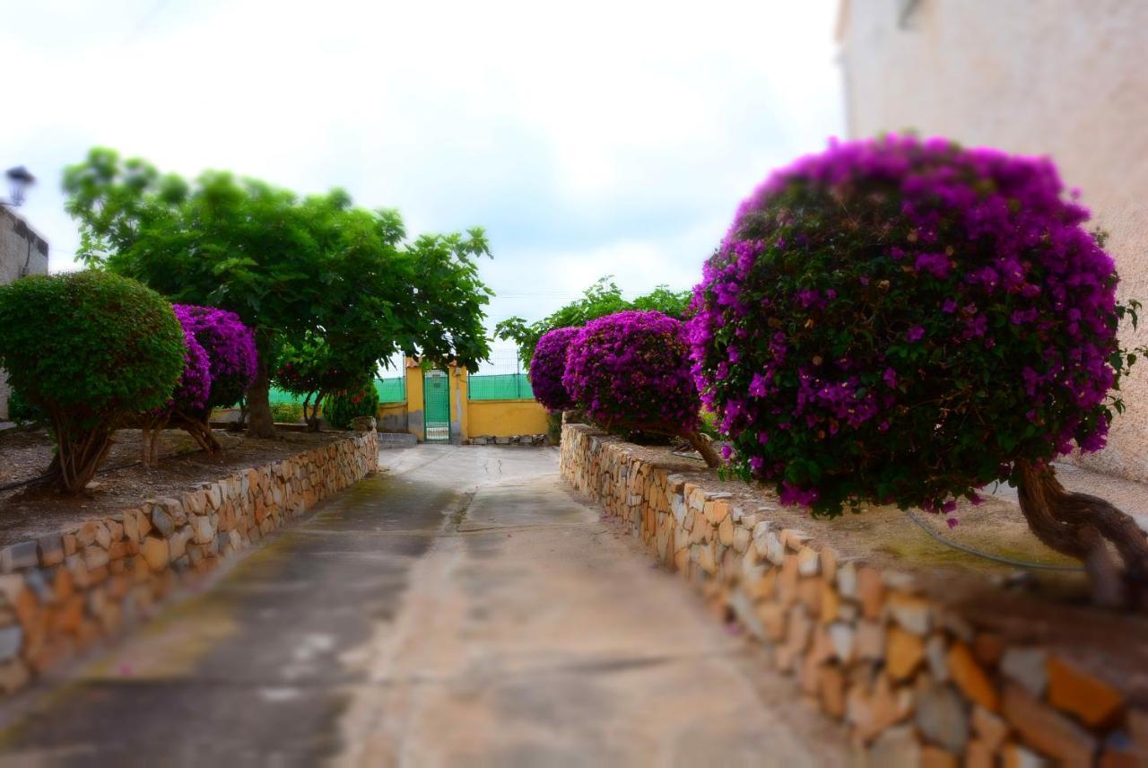 Palmeras, Piscina, Campo De Futbol Y Jardin Privados มาซาร์รอน ภายนอก รูปภาพ