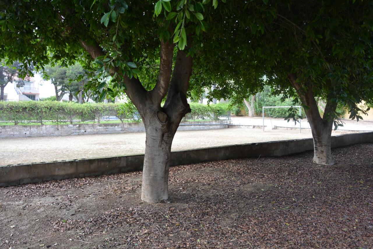 Palmeras, Piscina, Campo De Futbol Y Jardin Privados มาซาร์รอน ภายนอก รูปภาพ