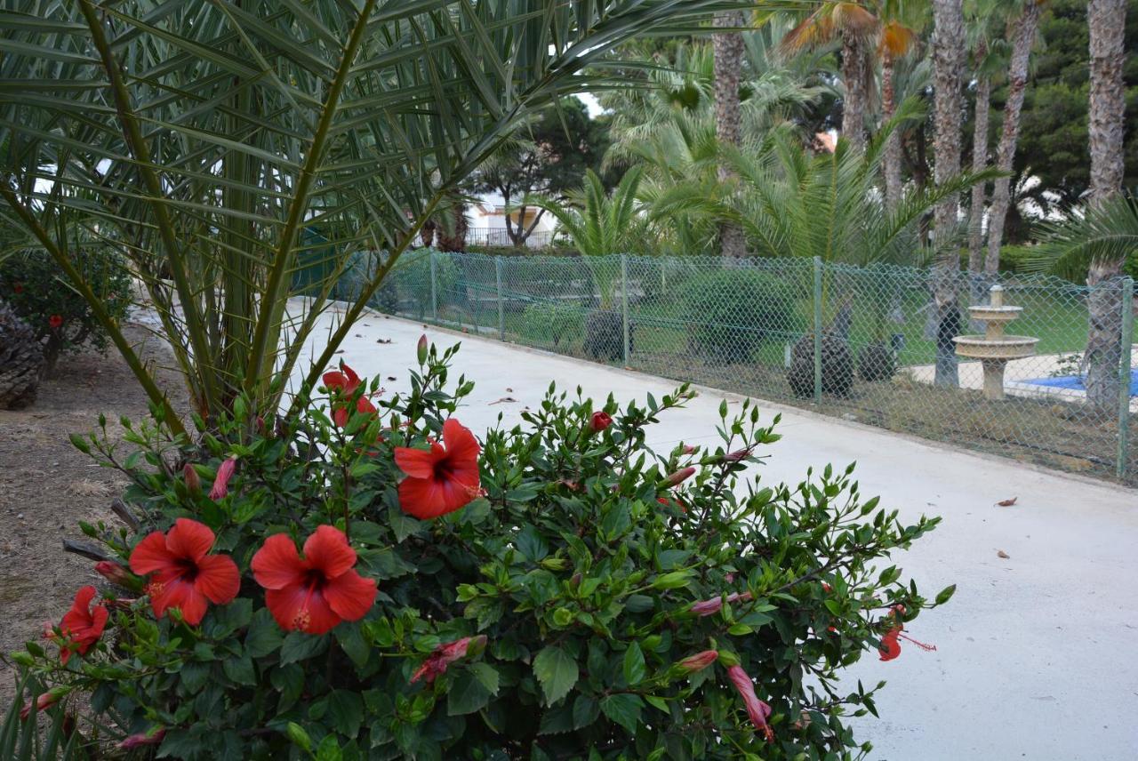 Palmeras, Piscina, Campo De Futbol Y Jardin Privados มาซาร์รอน ภายนอก รูปภาพ