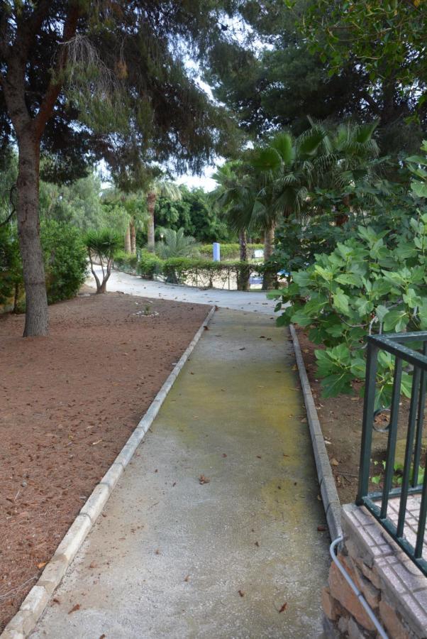 Palmeras, Piscina, Campo De Futbol Y Jardin Privados มาซาร์รอน ภายนอก รูปภาพ