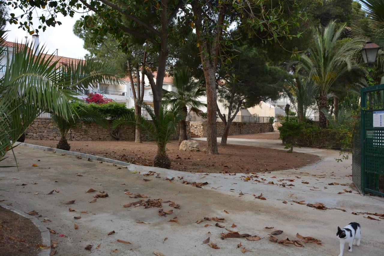 Palmeras, Piscina, Campo De Futbol Y Jardin Privados มาซาร์รอน ภายนอก รูปภาพ
