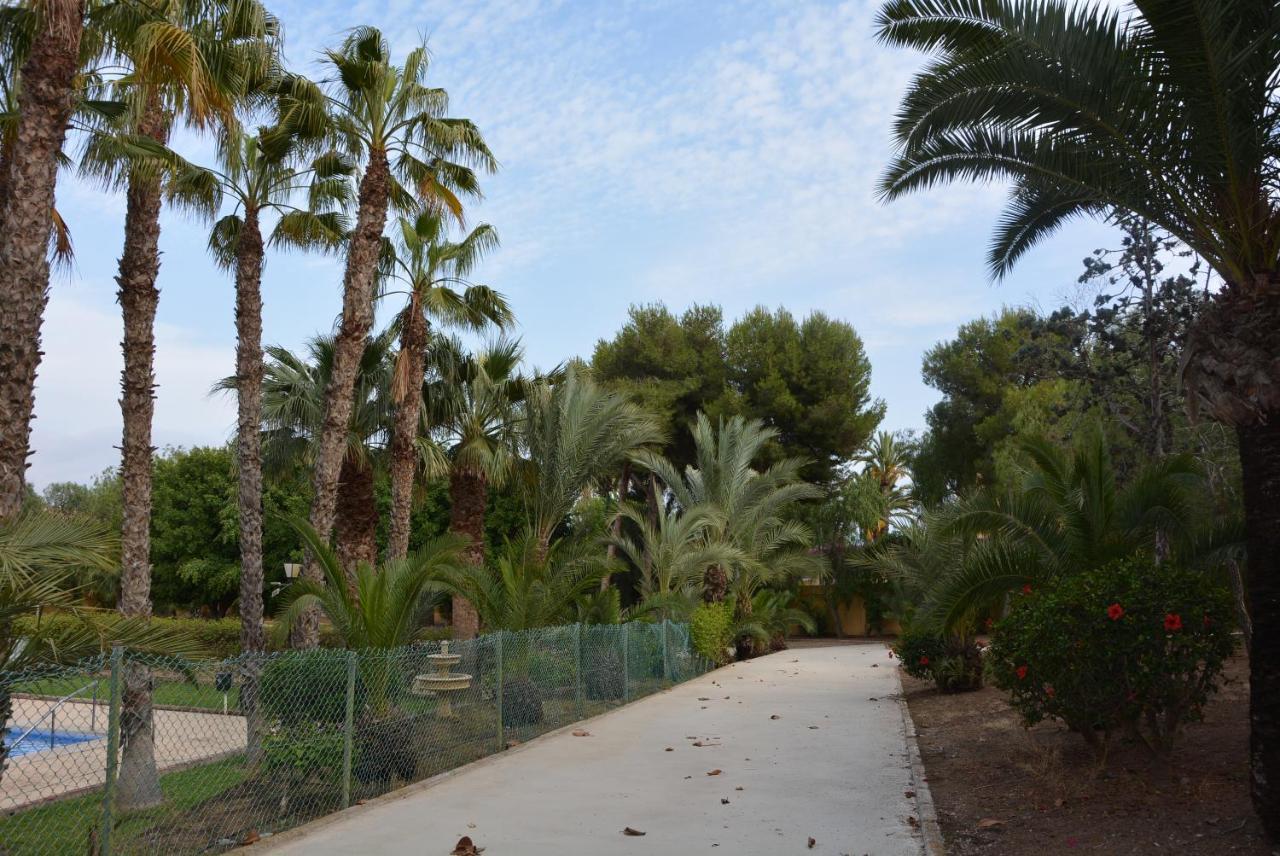 Palmeras, Piscina, Campo De Futbol Y Jardin Privados มาซาร์รอน ภายนอก รูปภาพ