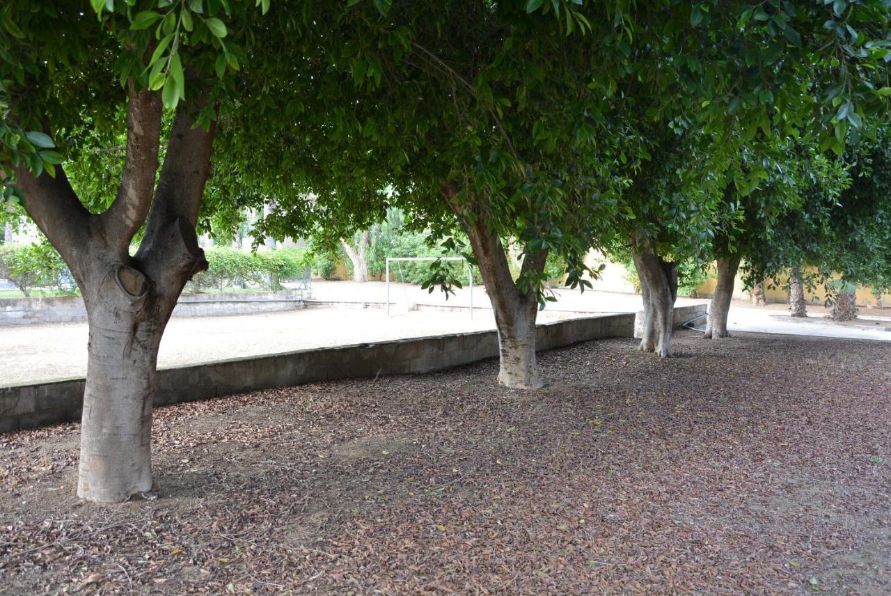 Palmeras, Piscina, Campo De Futbol Y Jardin Privados มาซาร์รอน ภายนอก รูปภาพ