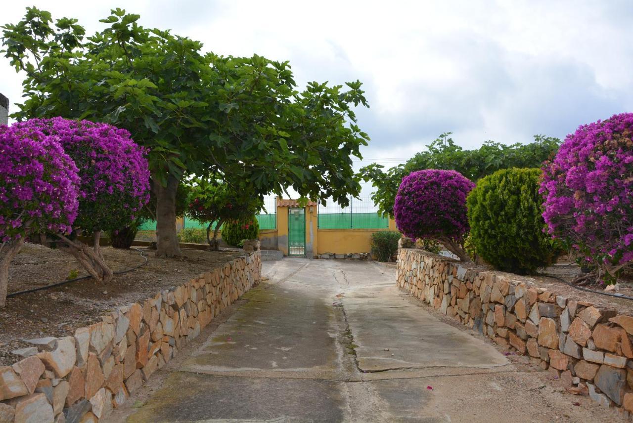 Palmeras, Piscina, Campo De Futbol Y Jardin Privados มาซาร์รอน ภายนอก รูปภาพ